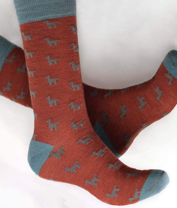 Llamas Caminantes Men'S Socks