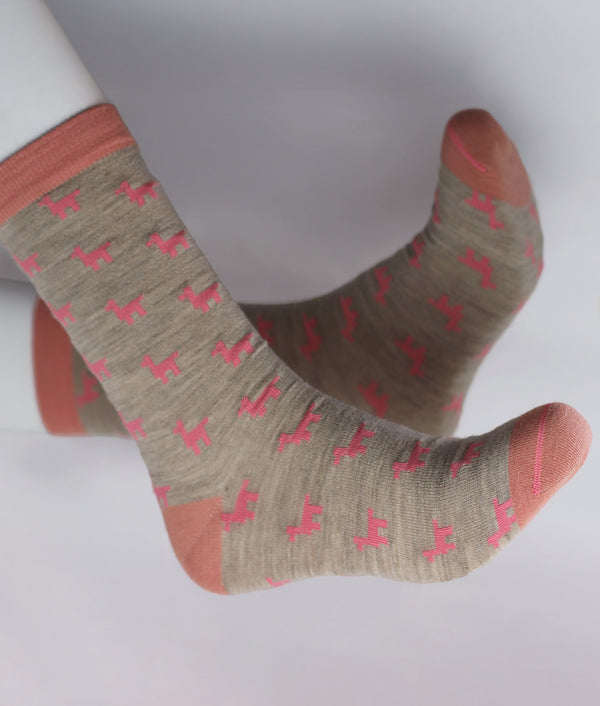 Llamas Caminantes  Women's Socks
