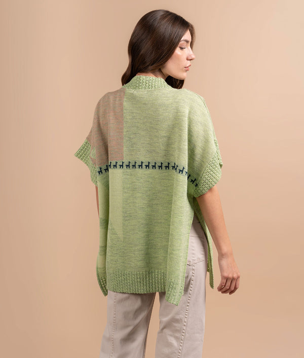 Los Logos Poncho - Light Green And Blush Beige