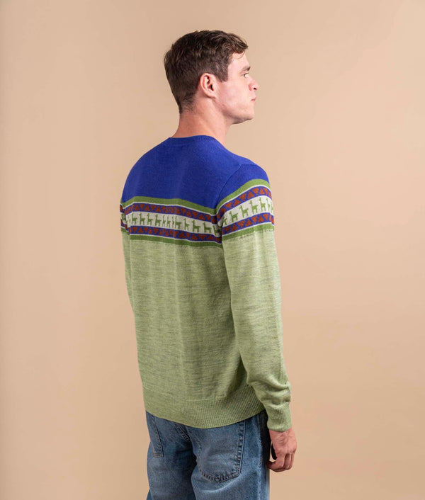 Alpacas On Fences Crew Neck Sweater - Lime Green And Cobalt Blue
