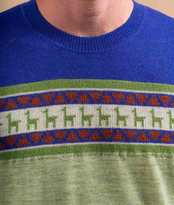 Alpacas On Fences Crew Neck Sweater - Lime Green And Cobalt Blue
